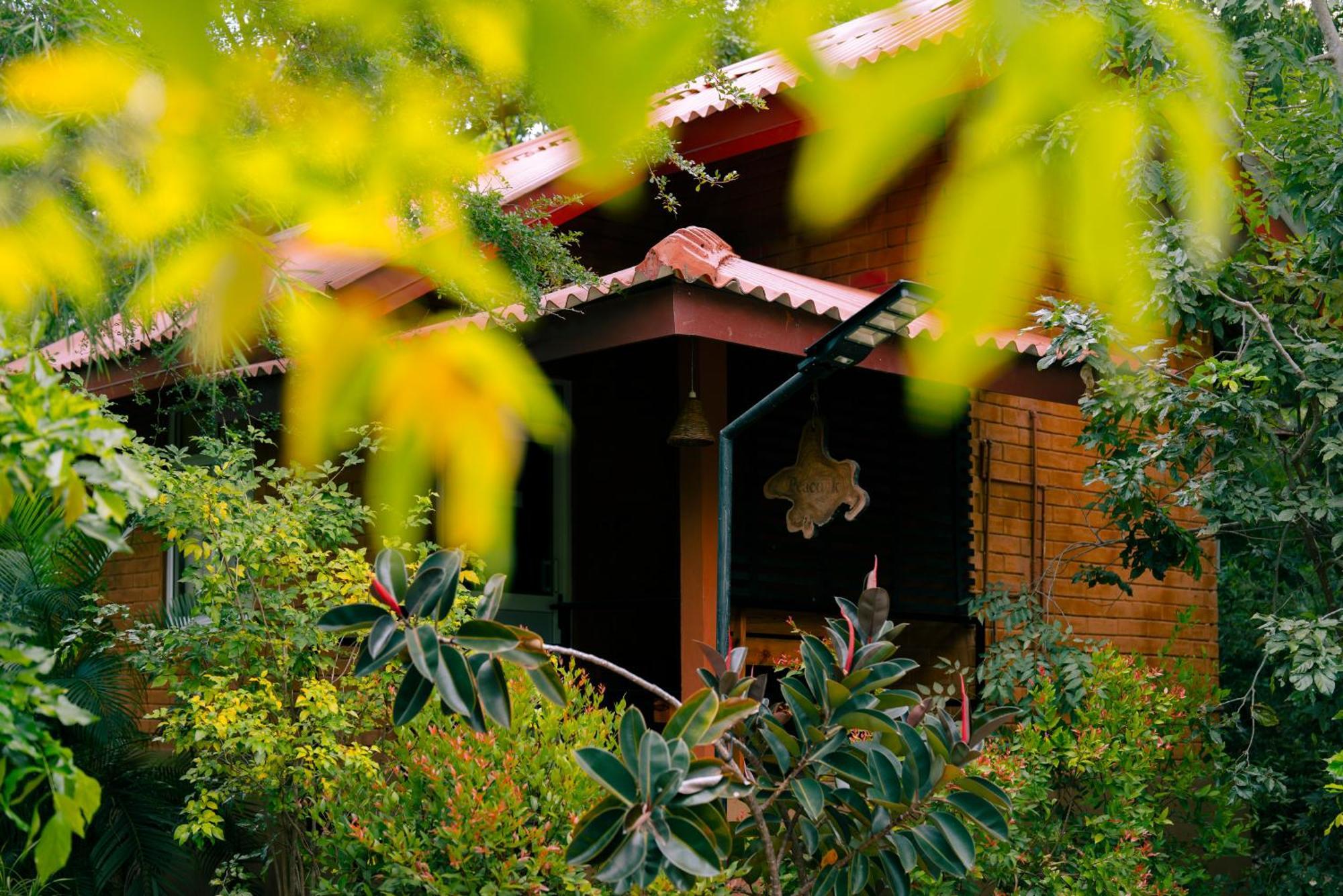 Safari Lodge Yala Kataragama Exterior photo