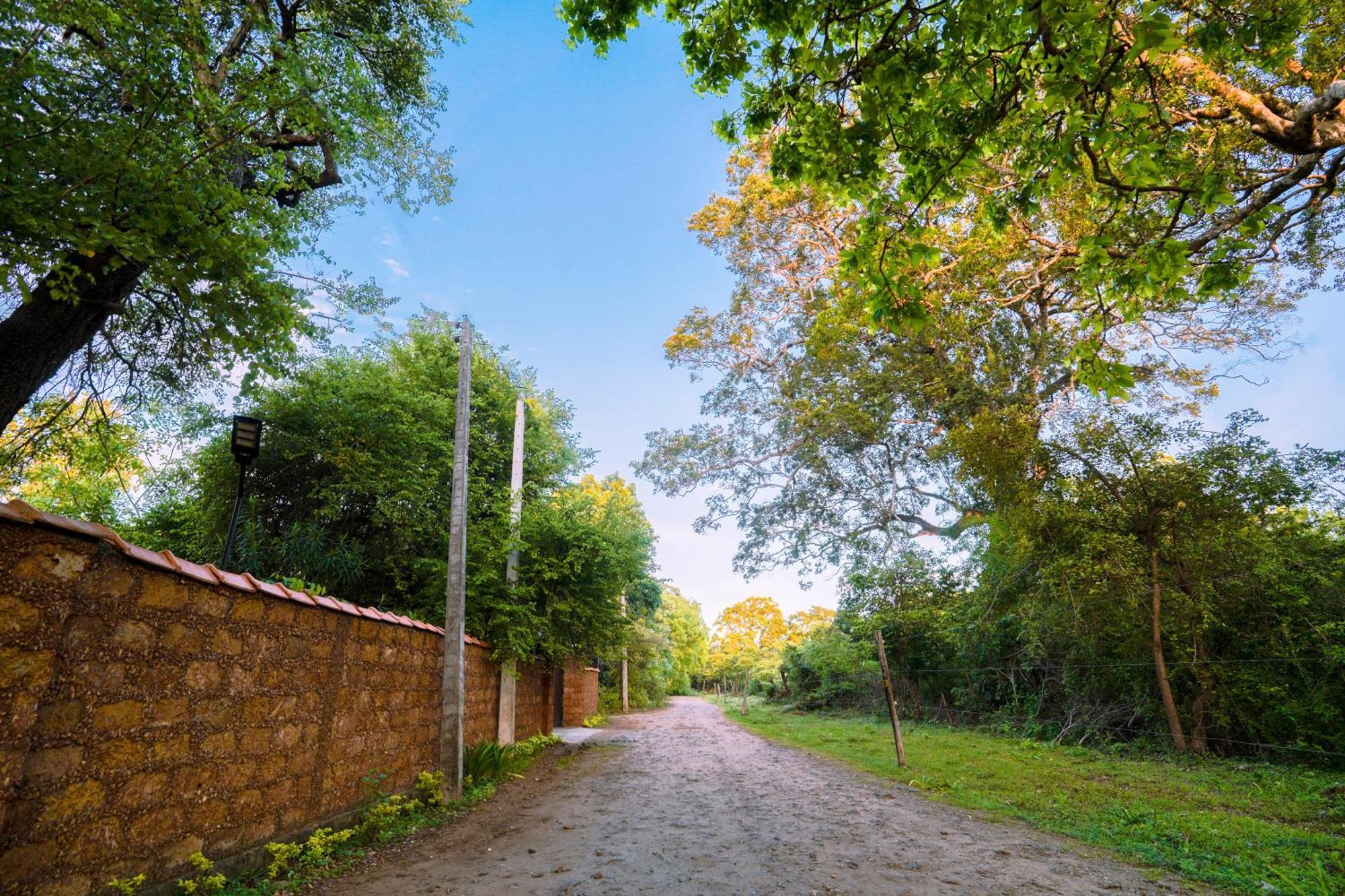 Safari Lodge Yala Kataragama Exterior photo